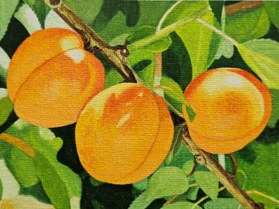 Frutas 5